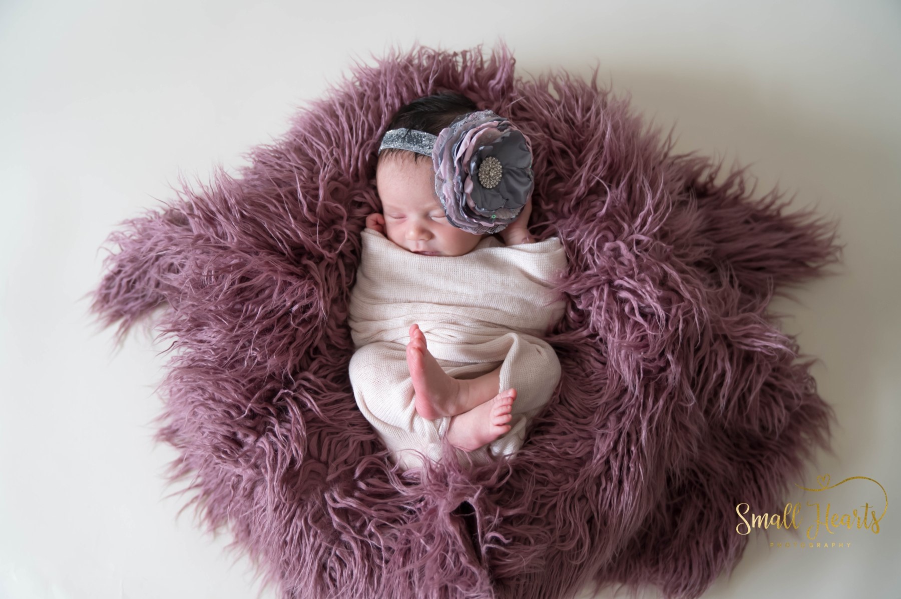 Sleeping newborn girl swaddled on a mauve fur rug, Small Hearts Photography